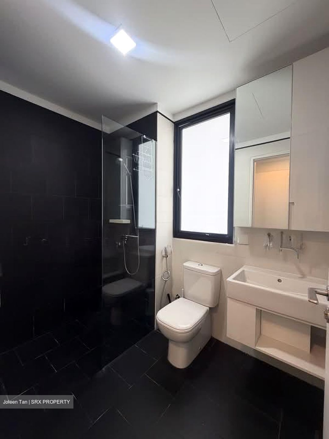 Village @ Pasir Panjang (D5), Condominium #604252301